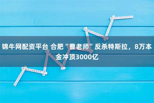 锦牛网配资平台 合肥“曹老师”反杀特斯拉，8万本金冲顶3000亿