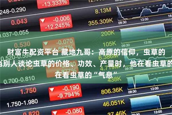 财富牛配资平台 藏地九哥：高原的信仰，虫草的王者，当别人谈论虫草的价格、功效、产量时，他在看虫草的“气息”