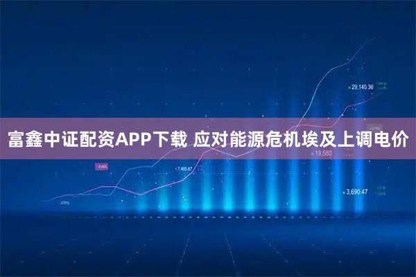富鑫中证配资APP下载 应对能源危机　埃及上调电价