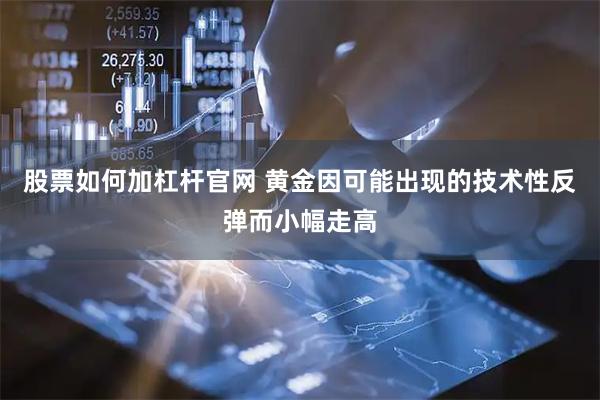 股票如何加杠杆官网 黄金因可能出现的技术性反弹而小幅走高